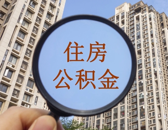 广州退休后查不到公积金明细了吗（退休后公积金查询不到原因）